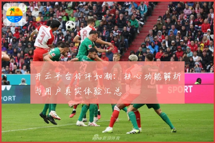 开云平台好评如潮：核心功能解析与用户真实体验汇总