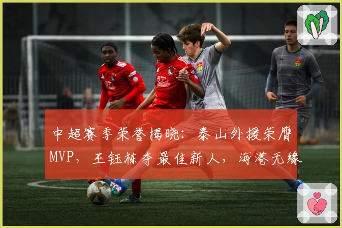 中超赛季荣誉揭晓：泰山外援荣膺MVP，王钰栋夺最佳新人，海港无缘大奖